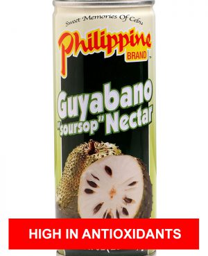 Philippine Brand Guyabano Nectar 250ml