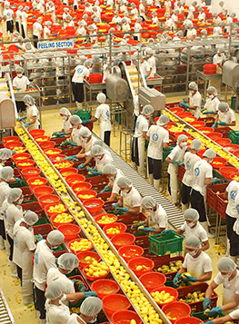 Central Visayas Plant